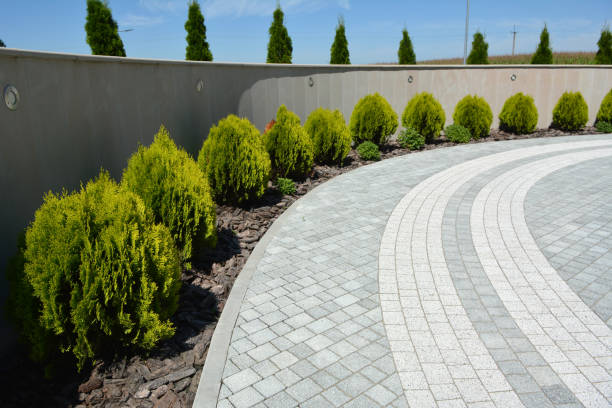 Best Concrete Paver Driveway  in Augusta, GA